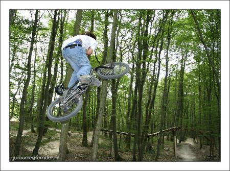 guillaume