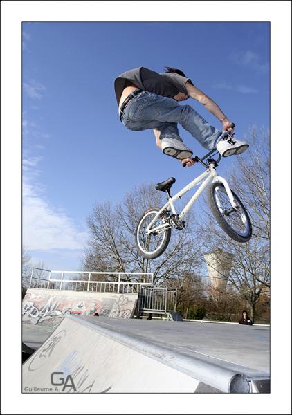 whip